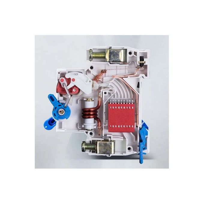 Chint Dijoncteur Courant Interrupteur NXB-63/125 4P